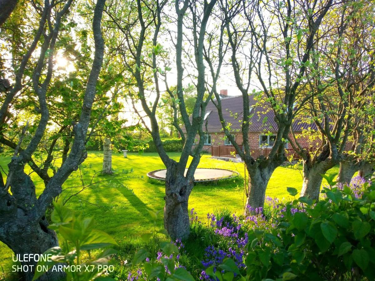 Lilleledgaard Country House Ringkøbing Εξωτερικό φωτογραφία